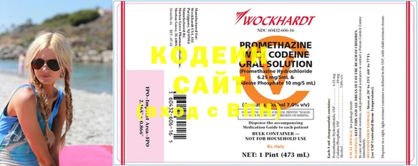 прущие грибы Иннополис
