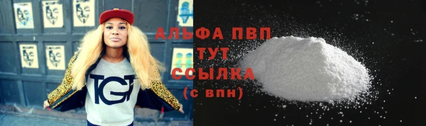 стаф Инсар