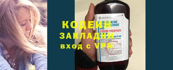 прущие грибы Иннополис