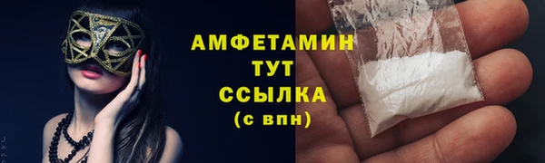 прущие грибы Иннополис
