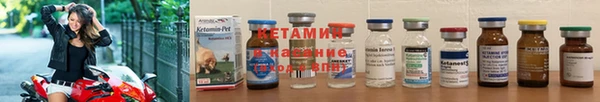 прущие грибы Иннополис