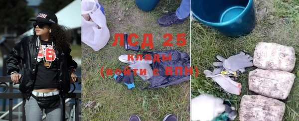 стаф Инсар
