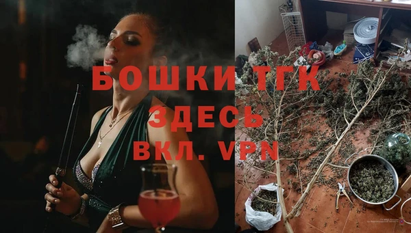 прущие грибы Иннополис