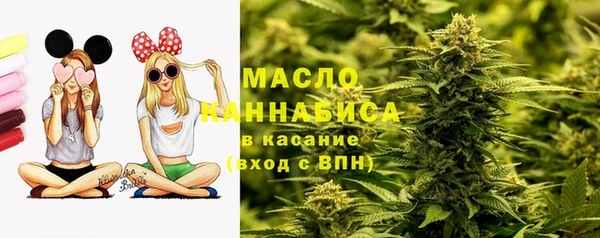 сатива Зеленокумск