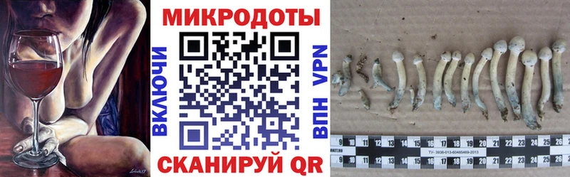 Купить закладки Россошь Галлюциногенные грибы Magic Shrooms
